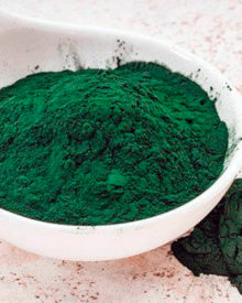 alga spirulina in polvere